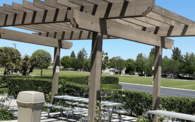 Benefits of Pergolas: More Than Just a Beautiful Addition